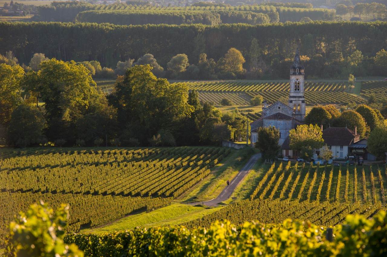 CRUCEROS RIVER ROYALE CRUCEROS FRANCIA CRUCEROS BURDEOS CRUCEROS RIOS DE FRANCIA RIVER ROYALE CRUISES CRUCEROS DE LUJO UNIWORLD SAUTERNES CRUCEROS VINO ENOLOGICOS
